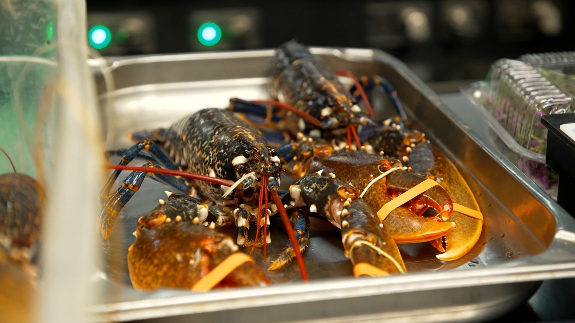 Charolles, un village au sommet de la gastronomie