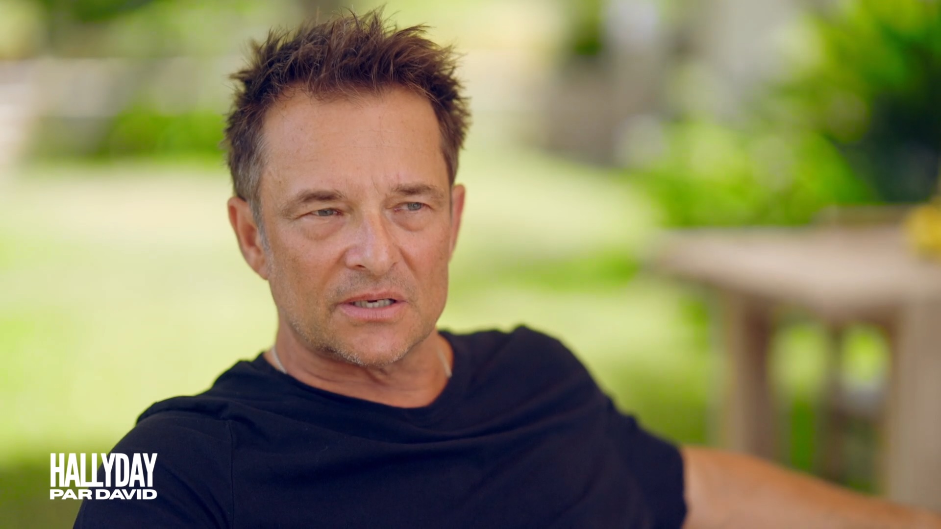Hallyday par David