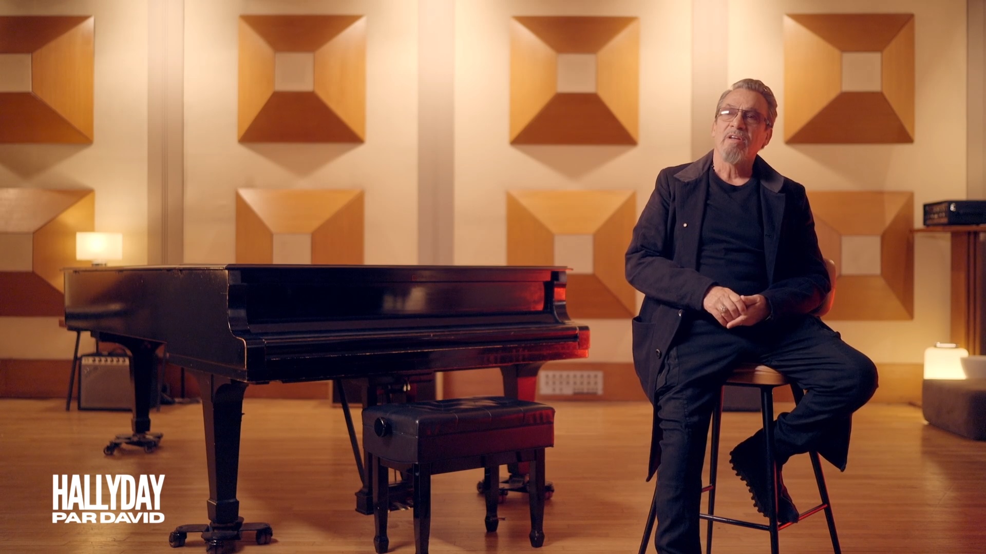 Hallyday par David